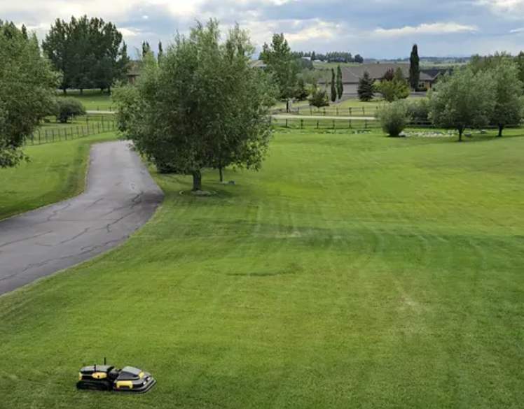 Yellow Yarbo robot mowers navigate lush green lawn beside winding driveway, showcasing efficient yard maintenance for large properties.