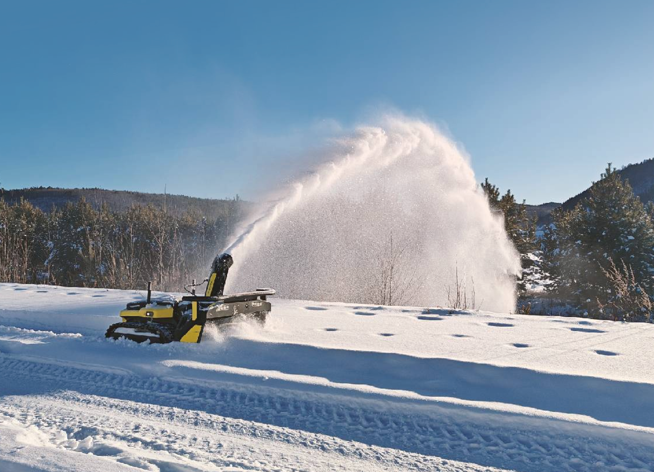 yabro snow blower