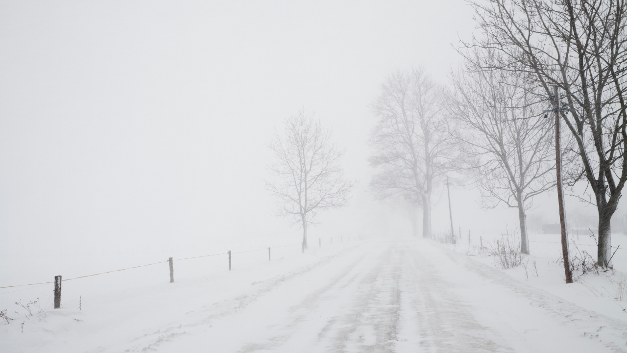 Snow-covered rural road lined with bare trees and fence, blanketed in heavy fog and winter stillness.