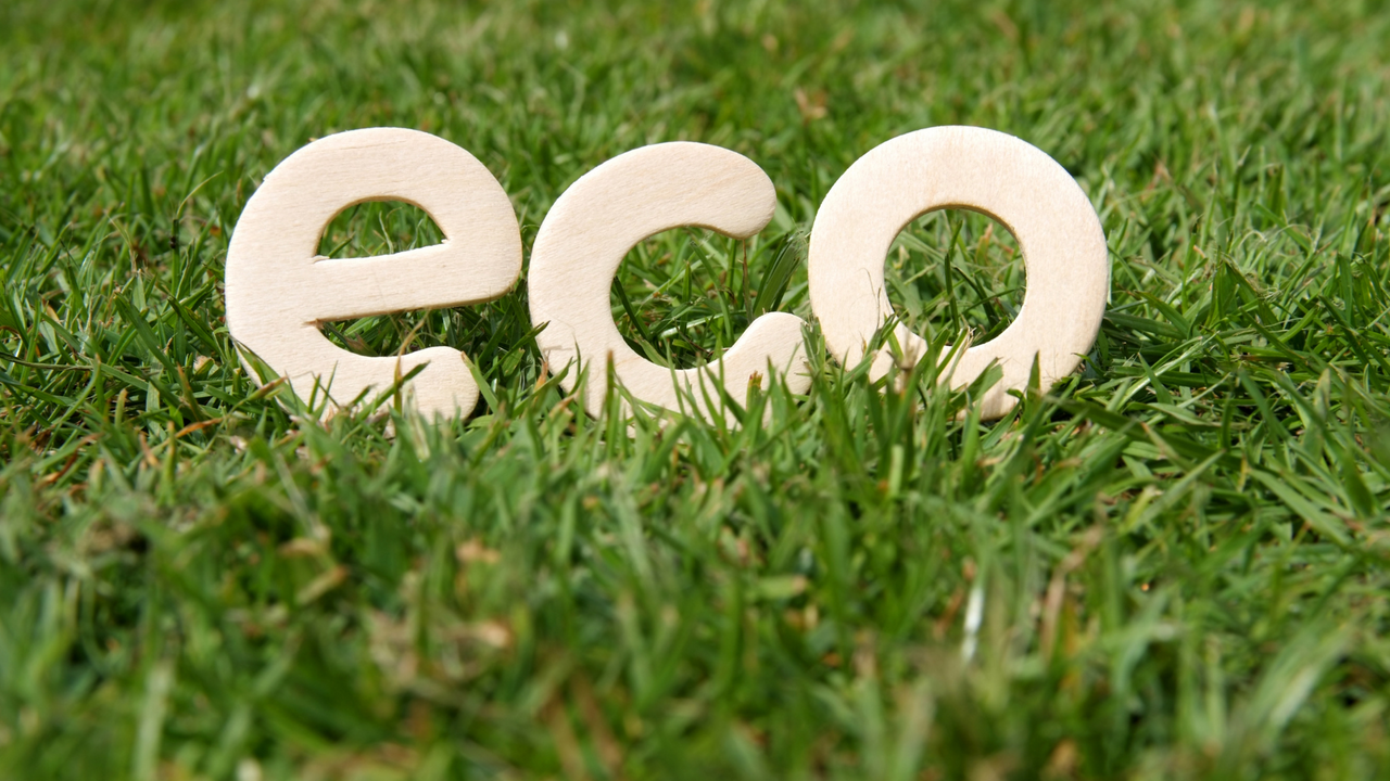 Wooden letters spelling "eco" nestled in vibrant green grass, symbolizing sustainable lawn care and eco-friendly disposal.
