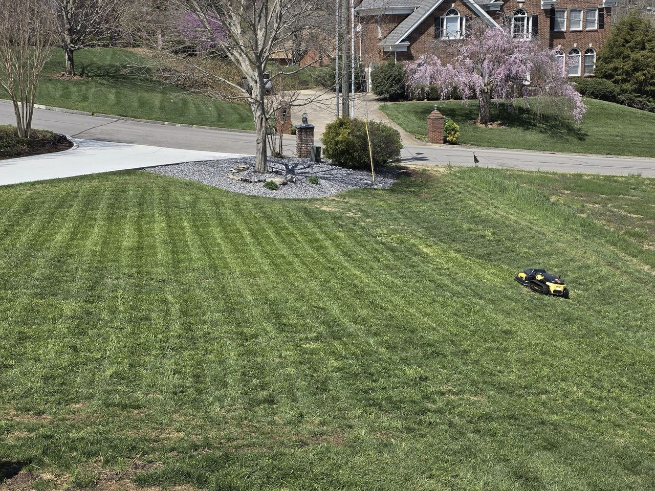 Yellow and black robot mower navigates a sloped suburban lawn, leaving neat stripes under sunny skies.