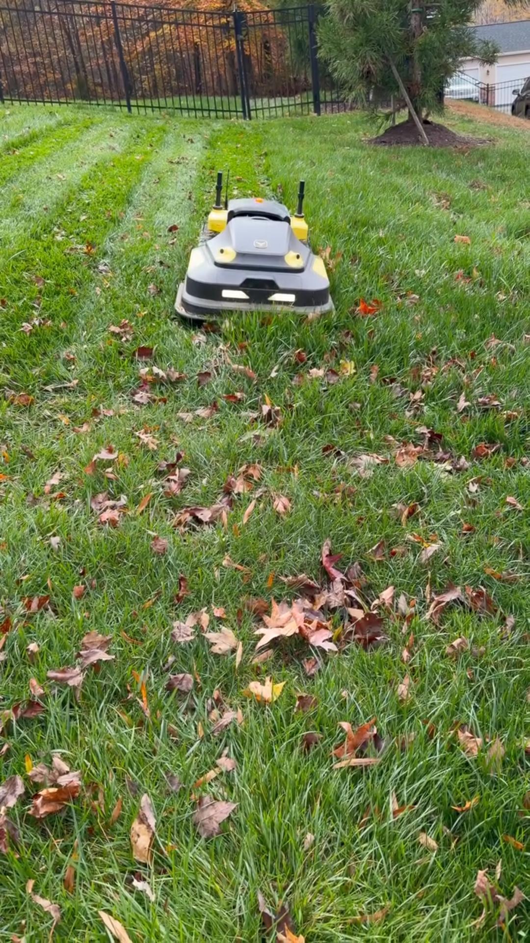 Gray and yellow robotic lawn mower on green grass scattered with autumn leaves, near black fence.