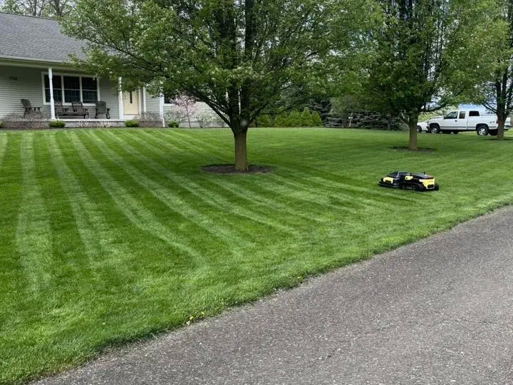 Yellow and black robotic lawn mower on striped green lawn near house and trees, driveway in foreground.