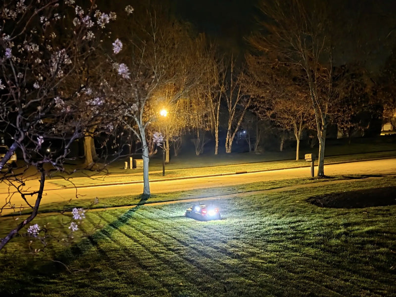 Night scene of a suburban street with blooming tree, lawn, and car lights illuminating grass.